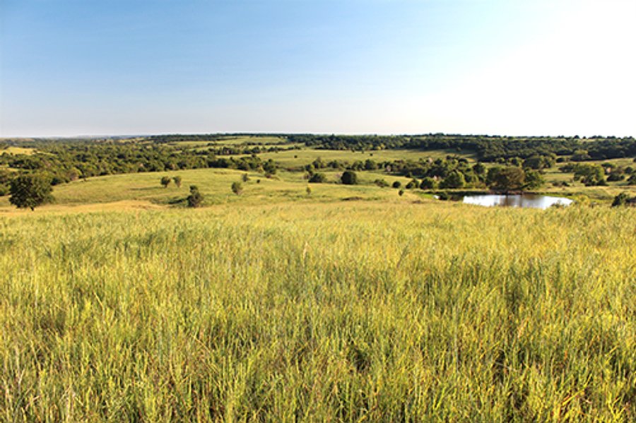 LARGE KANSAS AUCTION - 7,672+/- ACRES OFFERED IN 12 TRACTS IN CHAUTAUQUA COUNTY, KANSAS